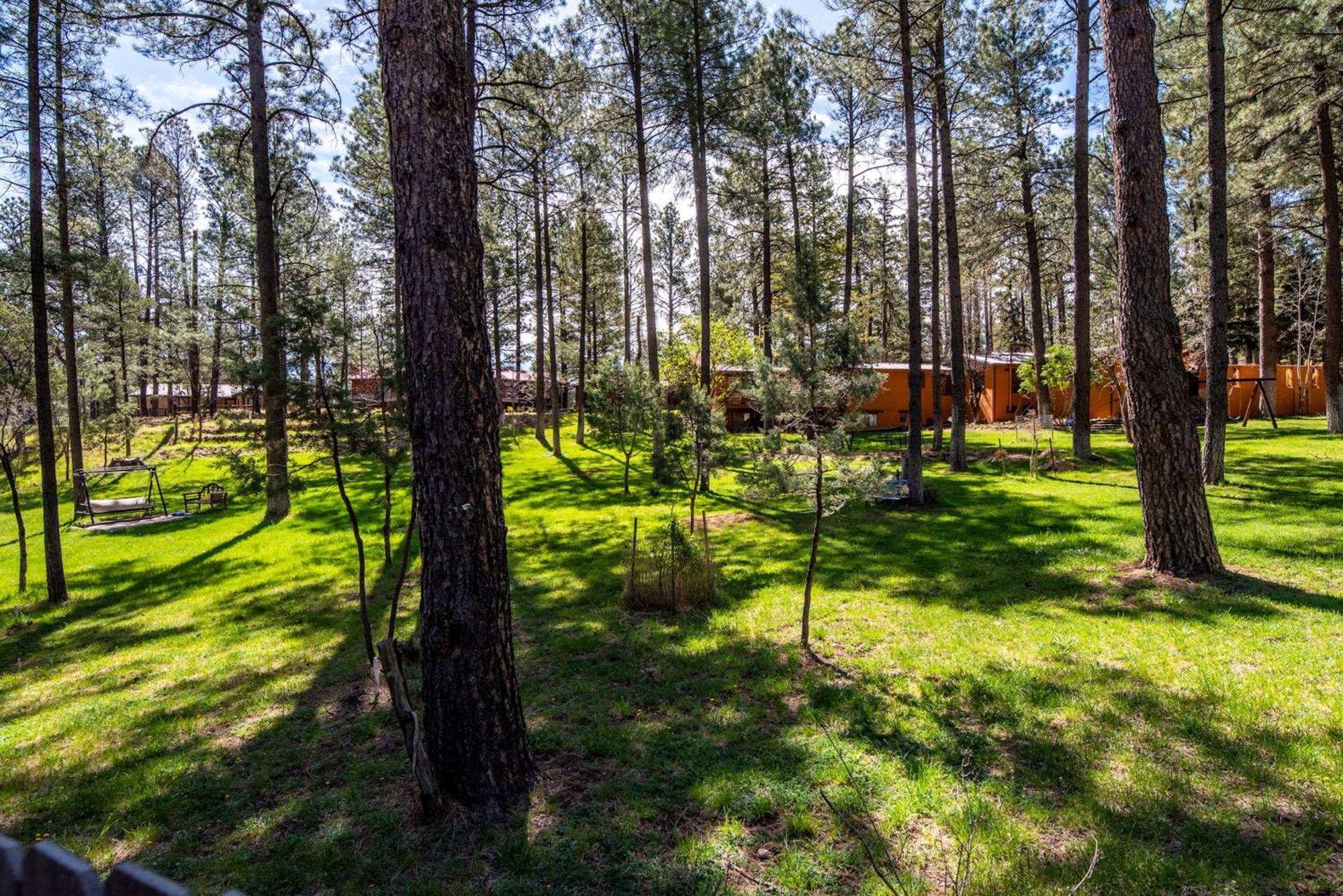 Rustic Pines Retreat Villa Ruidoso Bilik gambar